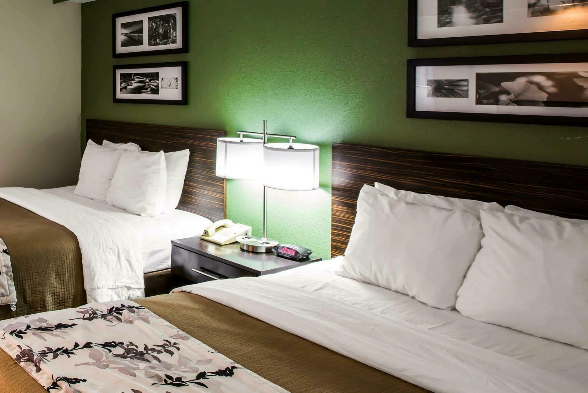 Sleep Inn & Suites Kingsport Tricities Airport Ngoại thất bức ảnh
