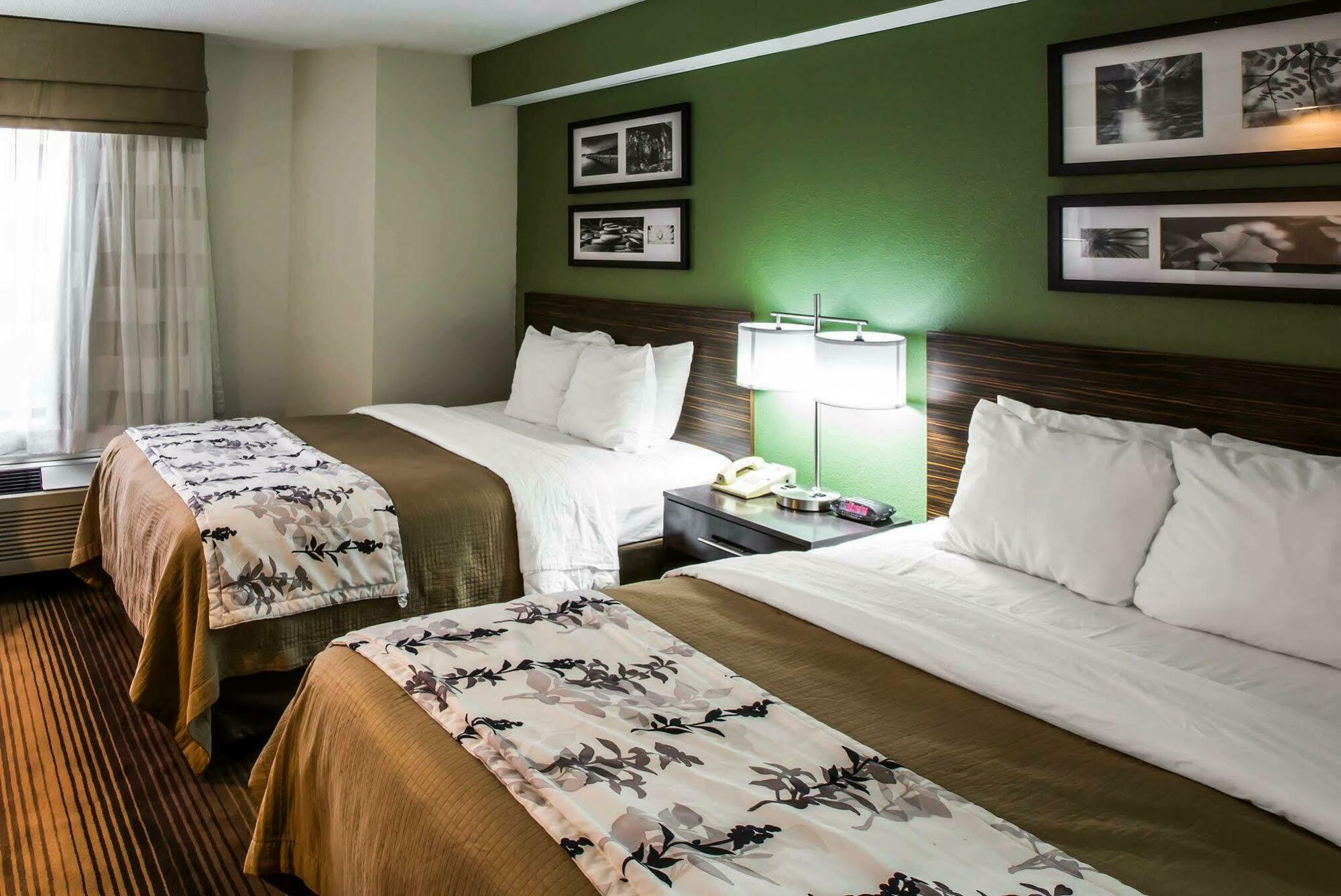 Sleep Inn & Suites Kingsport Tricities Airport Ngoại thất bức ảnh